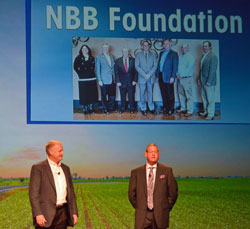 nbb-16-foundation